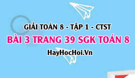 Giải bài 3 trang 39 Toán 8 Tập 1 SGK Chân trời sáng tạo